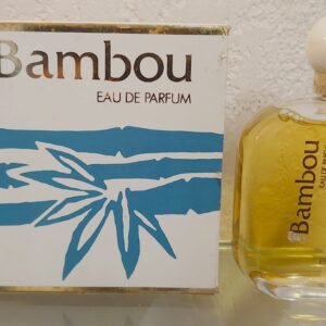 BAMBOU - EDP 100 ML de WEIL