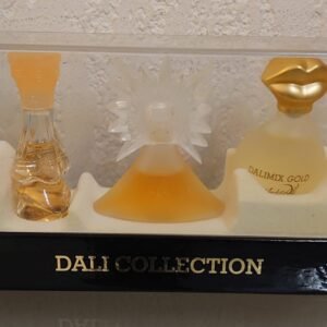 COFFRET DALI COLLECTION - 5 x Minis de DALI