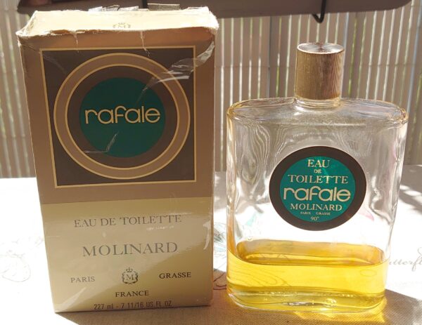 RAFALE - EDT 227 ML de MOLINARD