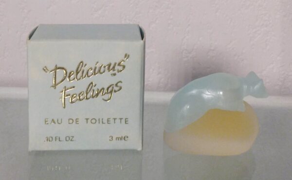 DELICIOUS FEELINGS - EDT 3 ML de HAYMAN