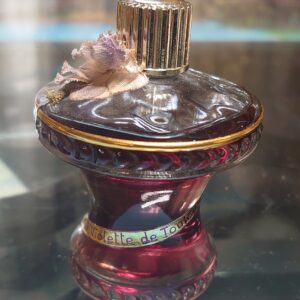 VIOLETTES DE TOULOUSE - Haut 7 cm Sans Boite de SUDRE